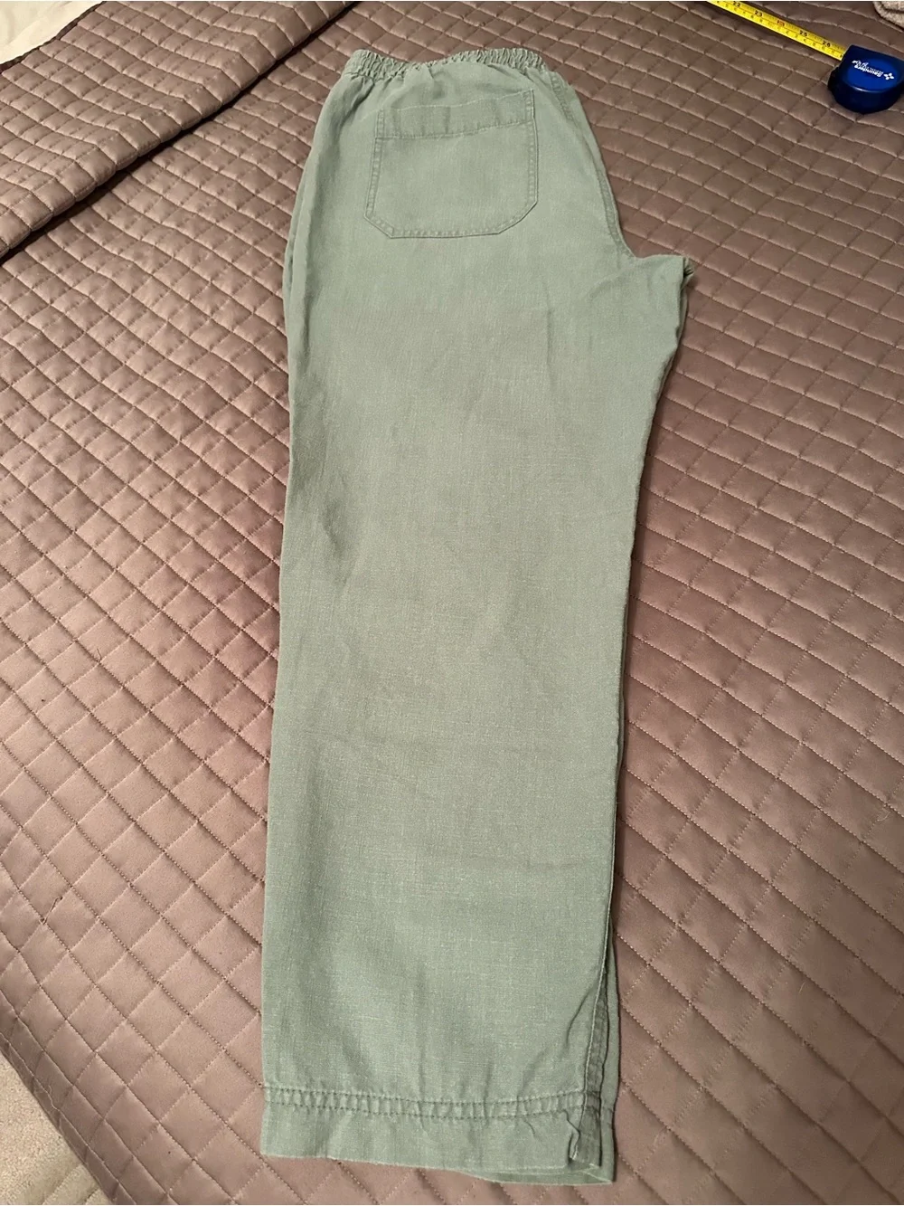 J Crew Relaxed Drawstring Linen Pants in Light Sage and Black
